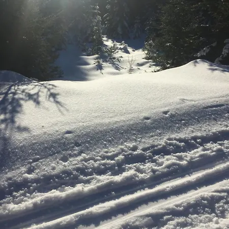 Appartement Na Slunicku