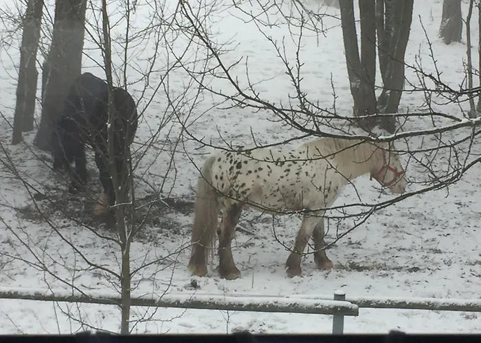 Na Slunicku Lägenhet Mariánská
